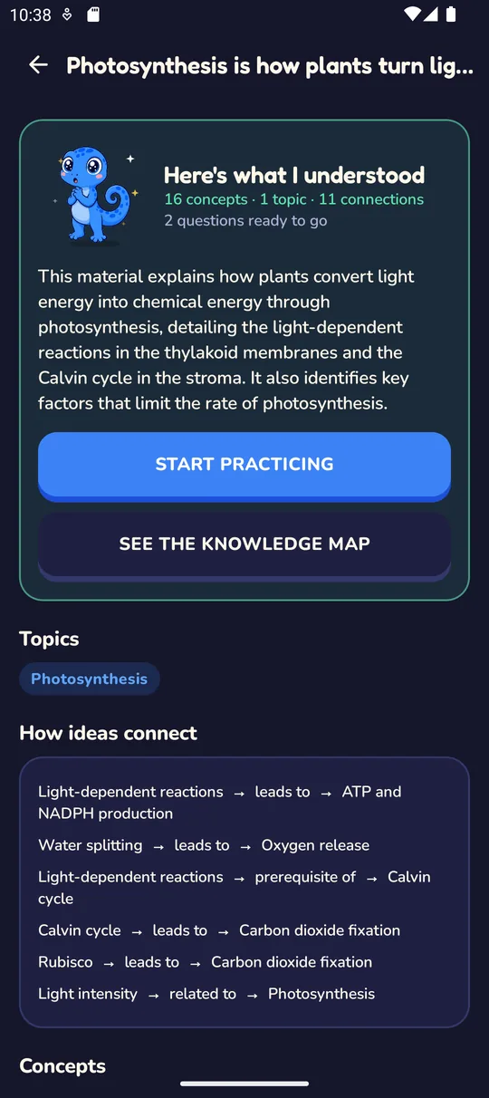 The summary of what Deckiy understood: concepts, topics and connections