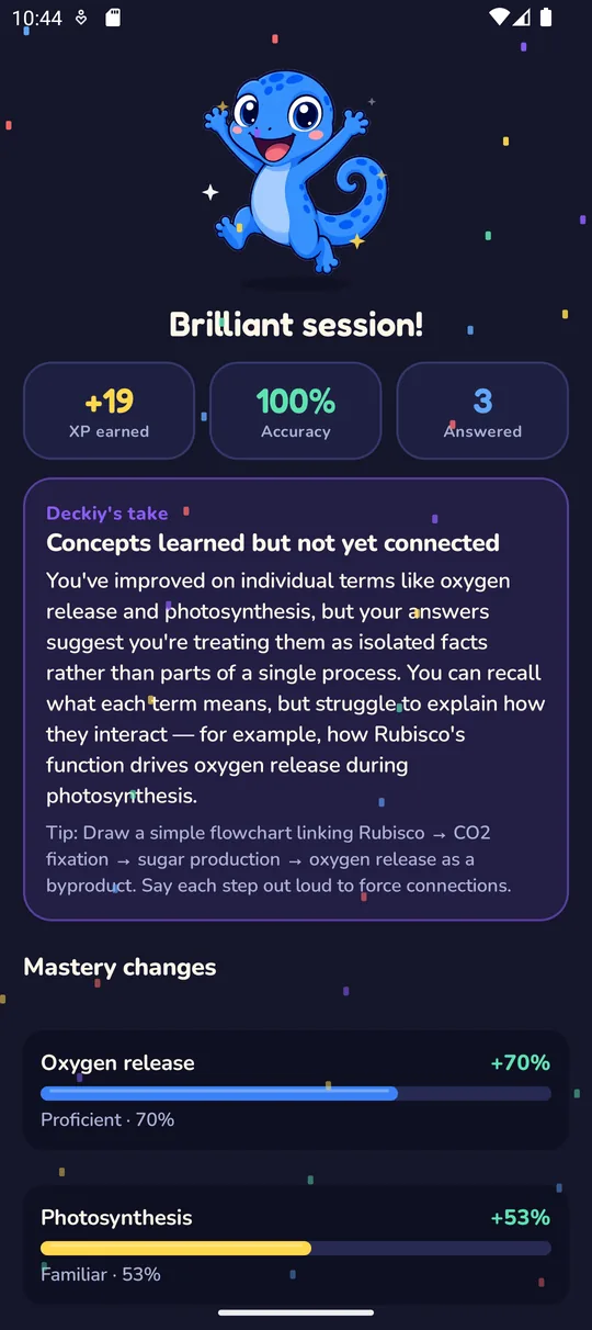 A session summary with XP, accuracy and what to study next